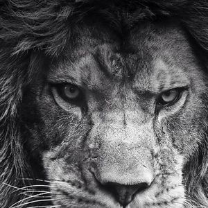 Meet your Posher, Willie king